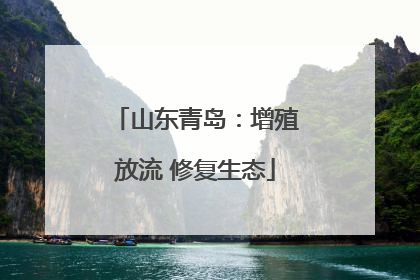 山东青岛：增殖放流 修复生态